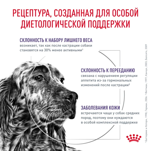 Сухой корм Royal Canin Neutered Adult Medium Dogs для стерилизованных собак средних пород, 3,5 кг фото 8
