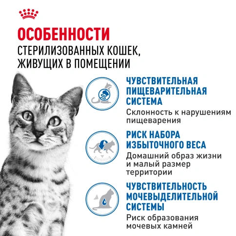 Влажный корм Royal Canin Indoor sterilised в желе для кошек, живущих в помещении, пауч, 85 г фото 2