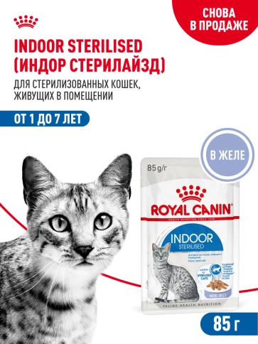 Влажный корм Royal Canin Indoor sterilised в желе для кошек, живущих в помещении, пауч, 85 г фото 15
