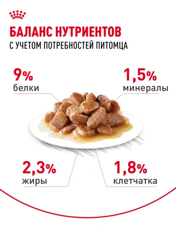 Влажный корм Royal Canin Sterilised в соусе для стерилизованных кошек старше 1 года, пауч, 85 г фото 4