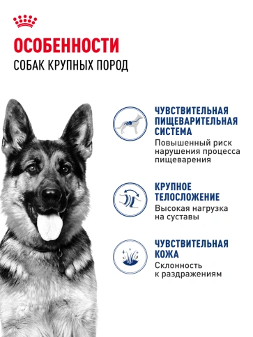 Сухой корм Royal Canin Maxi Adult для собак, 15 кг фото 14