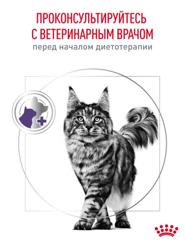 Сухой корм Royal Canin Neutered Satiety Balance для кастрированных котов и стерилизованных кошек до 7 лет, 1,5 кг фото 22