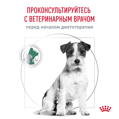 Сухой корм Royal Canin Satiety Small Dogs для собак мелких пород для снижение веса, 500 г фото 7