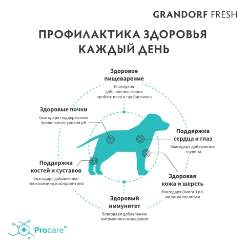 Сухой корм Grandorf Fresh Dog Lamb & Sweet Potato для юниоров средних и крупных пород беременных и кормящих собак беззерновой ягненок, с бататом, 1 кг фото 4