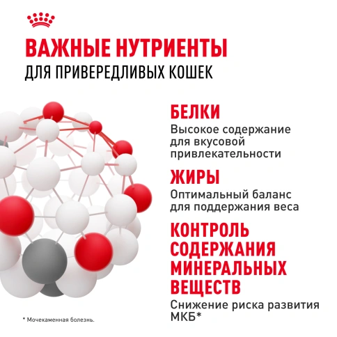 Сухой корм Royal Canin Protein Exigent для кошек фото 4