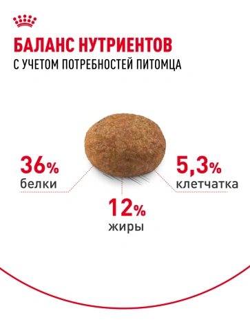 Сухой корм Royal Canin Sterilised 7+ для стерилизованных кошек и кастрированных котов, 400 г фото 17