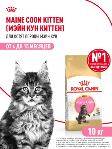Сухой корм Royal Canin Kitten Maine Coon для котят, 10 кг фото 15