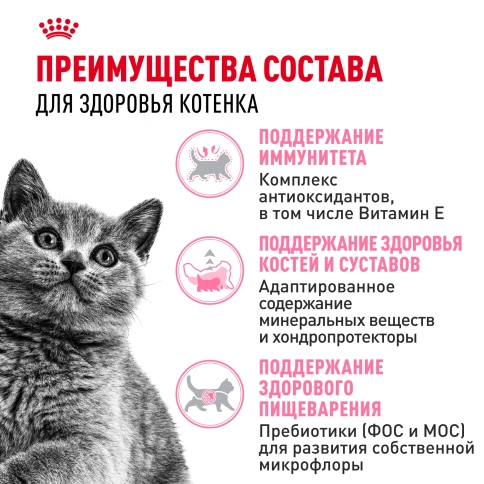 Сухой корм Royal Canin Kitten British Shorthair для котят, 10 кг фото 3
