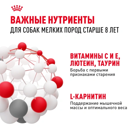 Сухой корм Royal Canin Mini Adult 8+ для пожилых собак, 4 кг фото 5