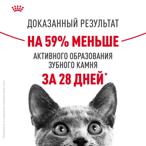Сухой корм Royal Canin Dental Care для кошек, 400 г фото 11