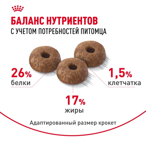 Сухой корм Royal Canin Mini Dermacomfort для собак, 3 кг фото 4