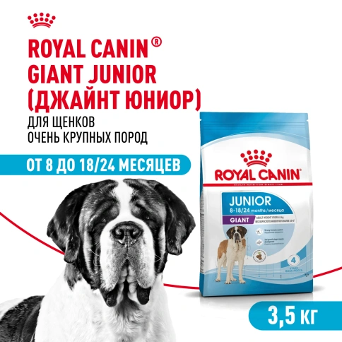 Сухой корм Royal Canin Giant Junior для щенков, 3,5 кг фото 1