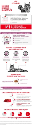 Влажный корм Royal Canin Renal Beef для кошек при заболеваниях почек, в соусе, с говядиной, пауч, 85 г фото 8