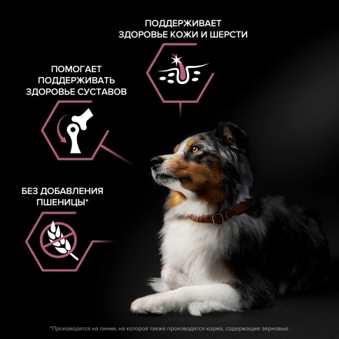 Сухой корм Purina Pro Plan Medium Adult Sensitive Skin Salmon & Rice для собак средних пород, с лососем и рисом, 18 кг фото 3