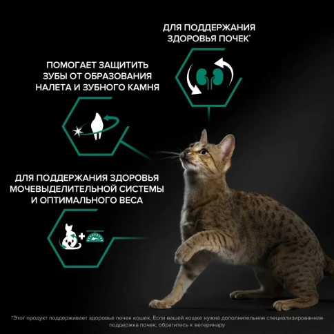 Сухой корм PRO PLAN Chicken для взрослых стерилизованных кошек и кастрированных котов старше 1 года с чувствительным пищеварением, с высоким содержанием курицы, 3 кг фото 3
