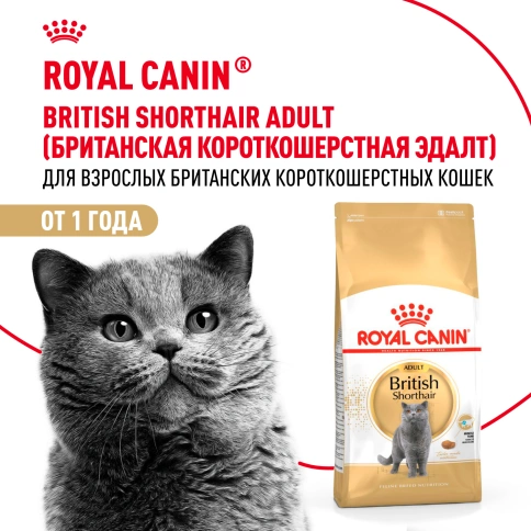 Сухой корм Royal Canin British Shorthair для кошек породы британская короткошерстная, 400 г фото 12