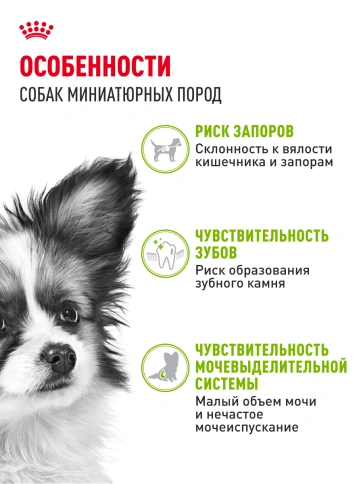 Сухой корм Royal Canin X-Small Adult для собак, 1,5 кг фото 14