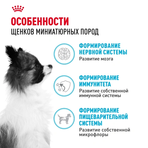 Сухой корм Royal Canin X-Small Puppy для щенков, 1,5 кг фото 2