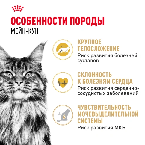 Сухой корм Royal Canin Maine Coon для кошек, 10 кг фото 2