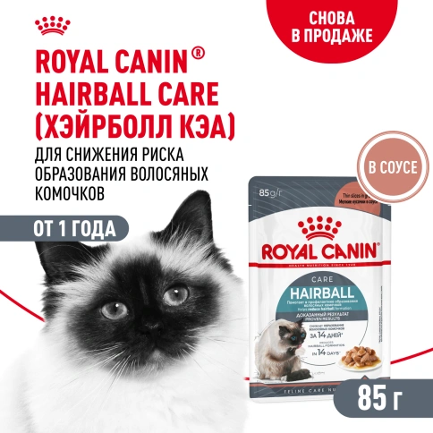 Влажный корм Royal Canin Hairball Care в соусе для взрослых кошек, для выведения волосяных комочков, пауч, 85 г фото 13