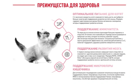 Сухой корм Royal Canin Kitten для котят, 300 г фото 4