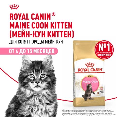 Сухой корм Royal Canin Kitten Maine Coon для котят, 400 г фото 13