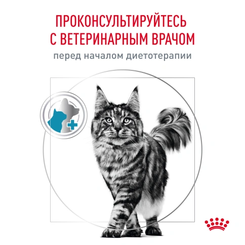 Сухой корм Royal Canin Hypoallergeniс для кошек, 2 кг фото 8