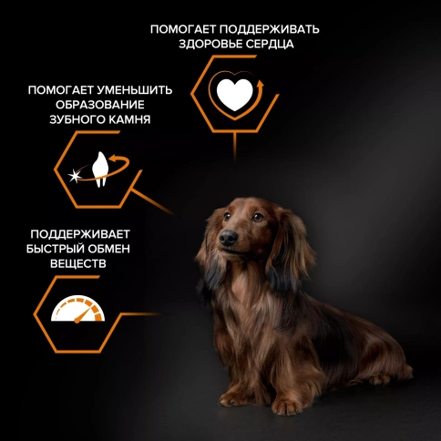 Сухой корм PRO PLAN Chicken для взрослых собак мелких и карликовых пород, с высоким содержанием курицы, 3 кг фото 2