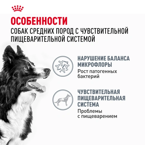 Сухой корм Royal Canin Medium Digestive Care для собак, 3 кг фото 2