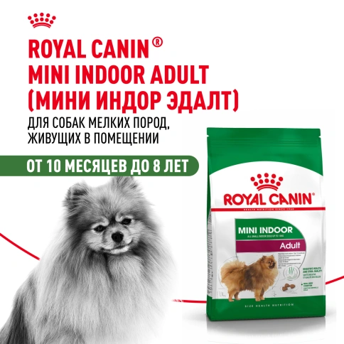 Сухой корм Royal Canin Mini Indoor Adult для собак, 500 г фото 13