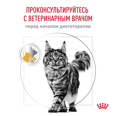 Сухой корм Royal Canin Urinary S/O для кошек при мочекаменной болезни, 7 кг фото 9