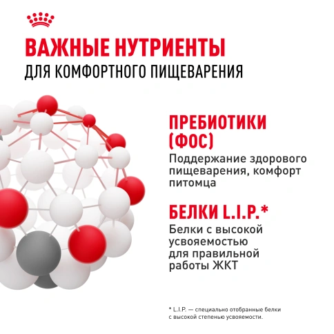 Сухой корм Royal Canin Sensible для кошек, 2 кг фото 6