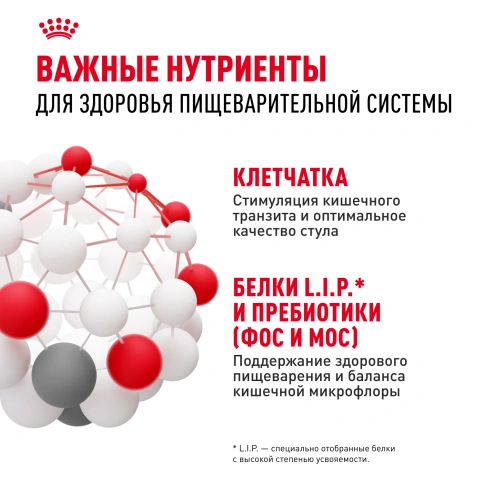 Сухой корм Royal Canin Mini Digestive Care для собак, 1 кг фото 5