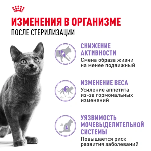 Сухой корм Royal Canin Sterilised для кастрированных котов и стерилизованных кошек, 4 кг фото 3